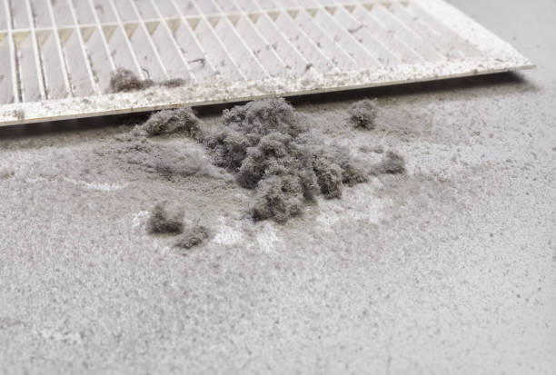 Best HVAC System Cleaning  in Troup, TX